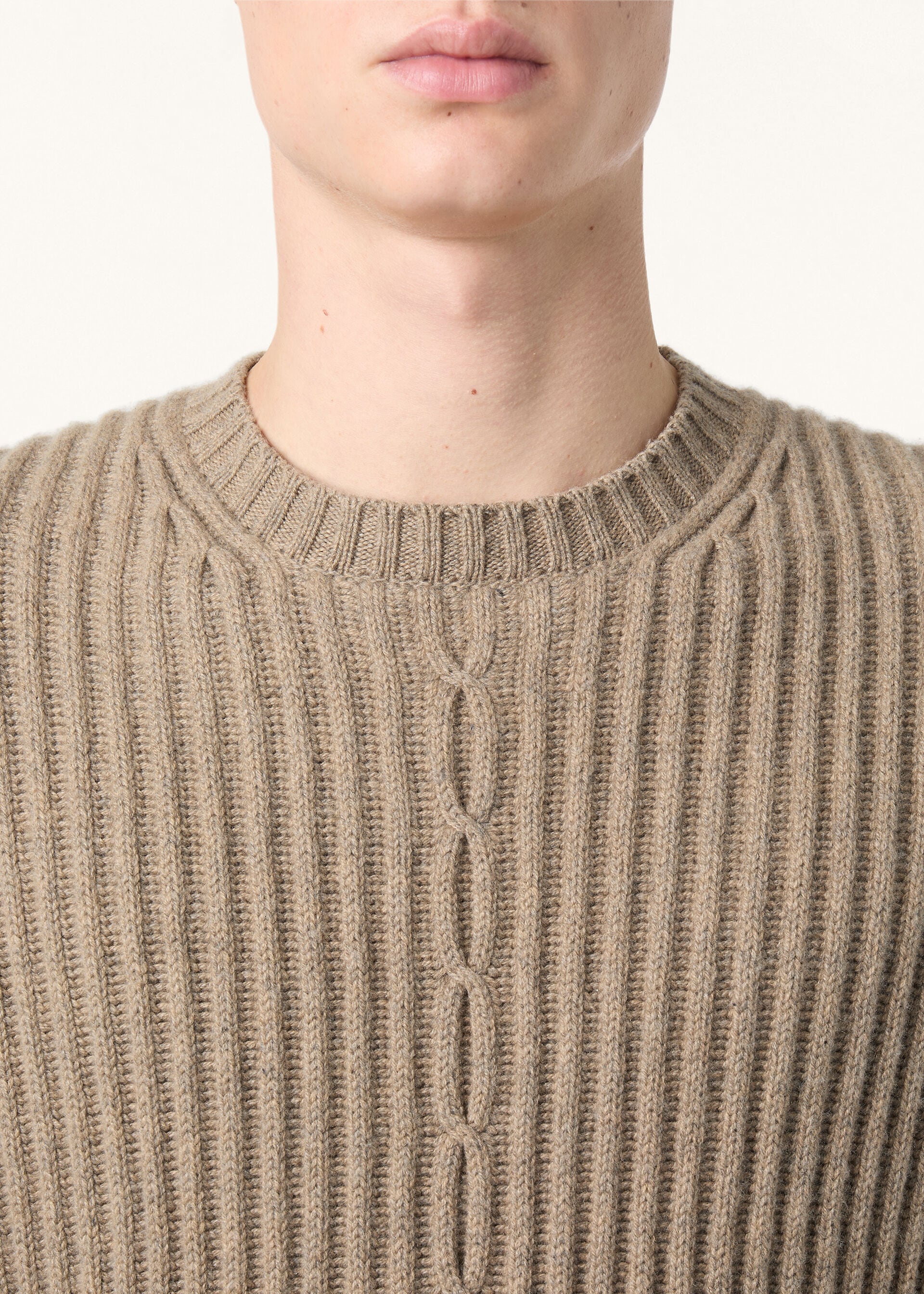 Plane Tree Crewneck - Frozen Blade Grass