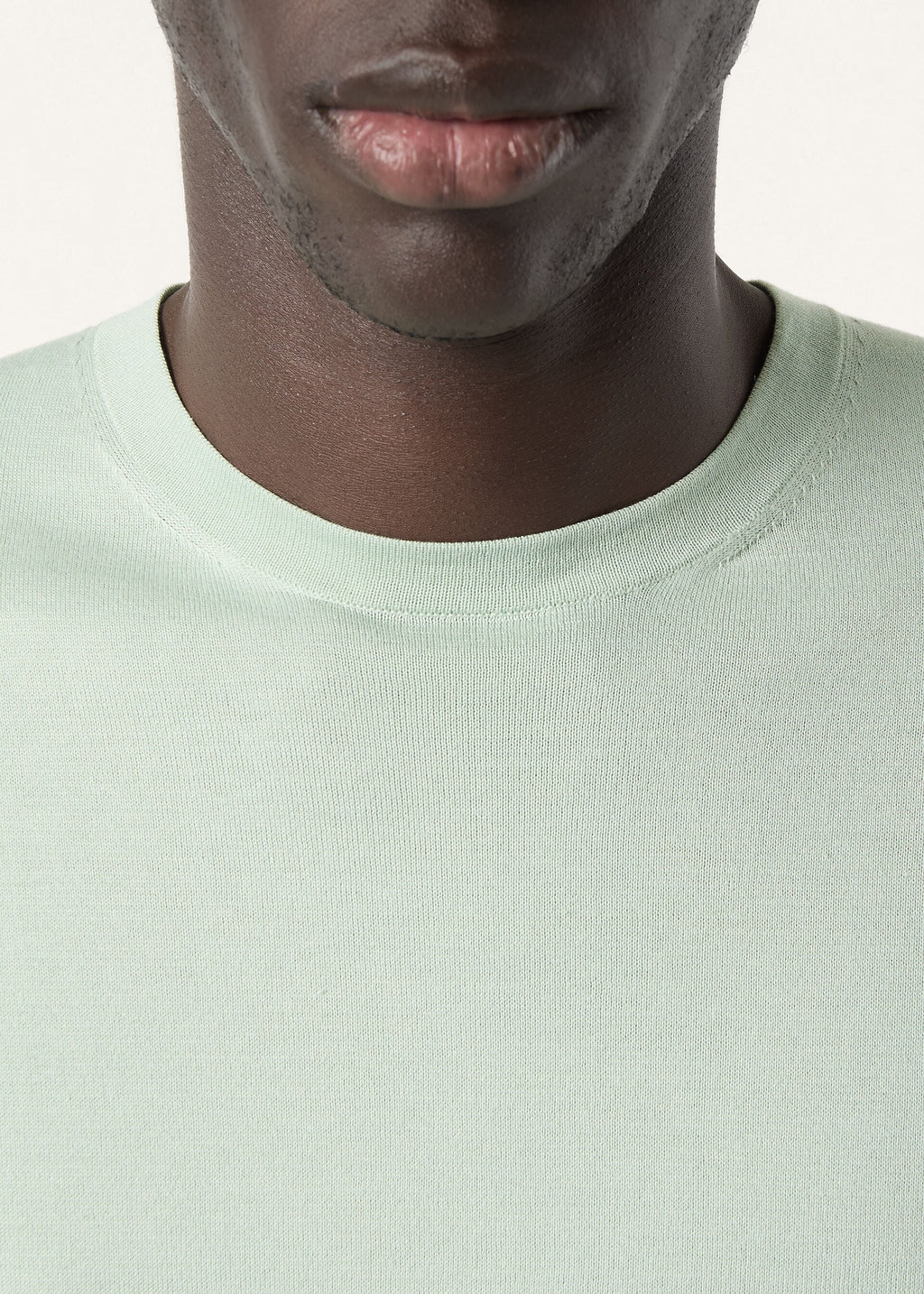 Crewneck - Pale Leaf