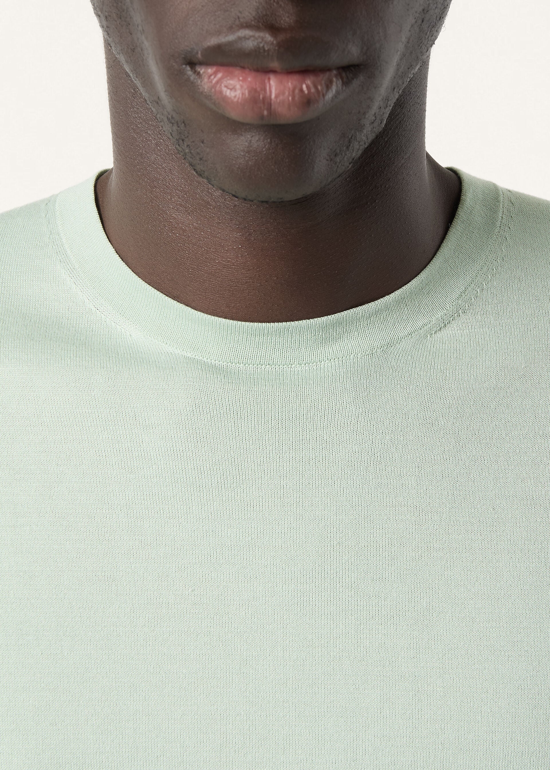 Crewneck - Pale Leaf