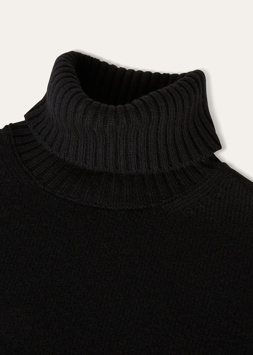Parksville Turtleneck - Black